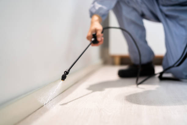 Licensed Mosquito Control service in Crestview, FL - Show Me Pest Control