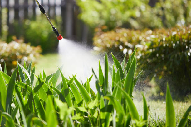 24/7 Emergency Mosquito Control experts in Crestview, FL